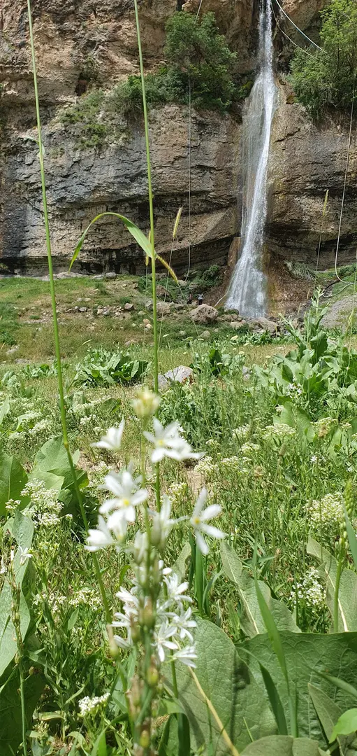 Ağacdibi Waterfall — Hakkari — küçük resim 3
