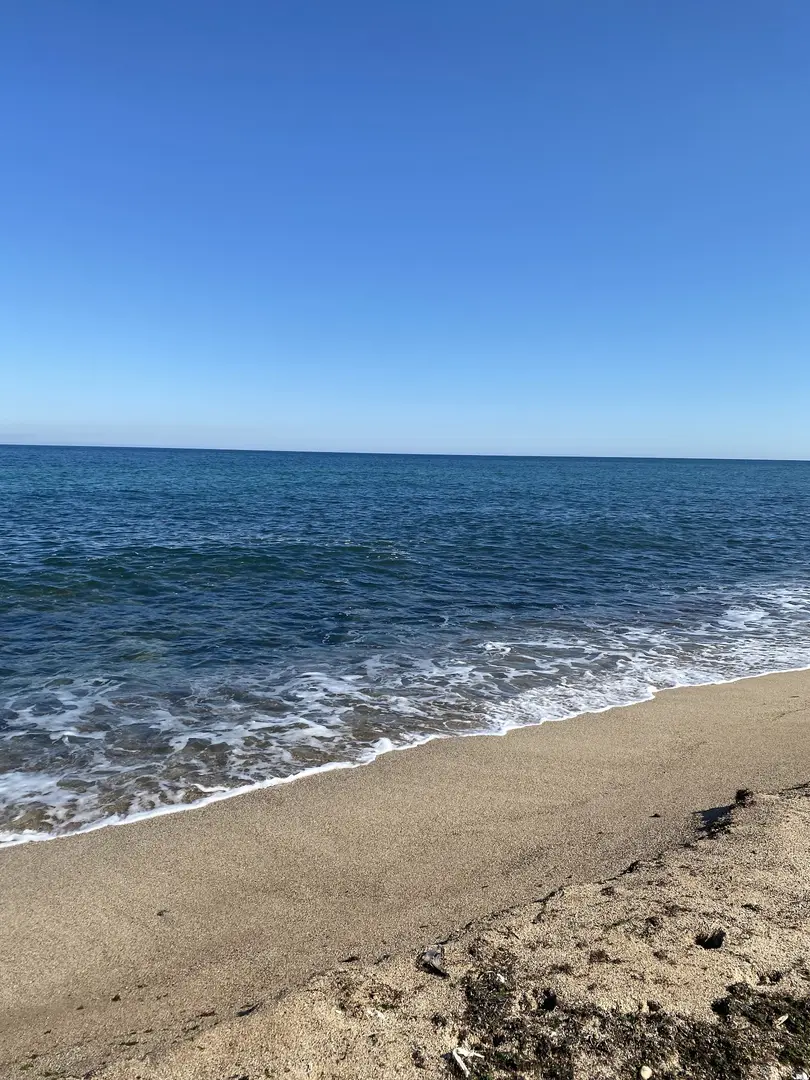MEMDİL 's Summer Season CAMPING SITE — İstanbul — küçük resim 10