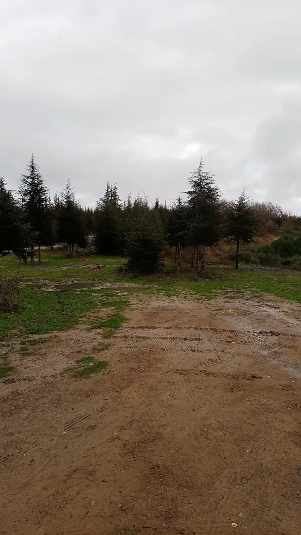 Ömerli Dam Camping Area — İstanbul — küçük resim 7