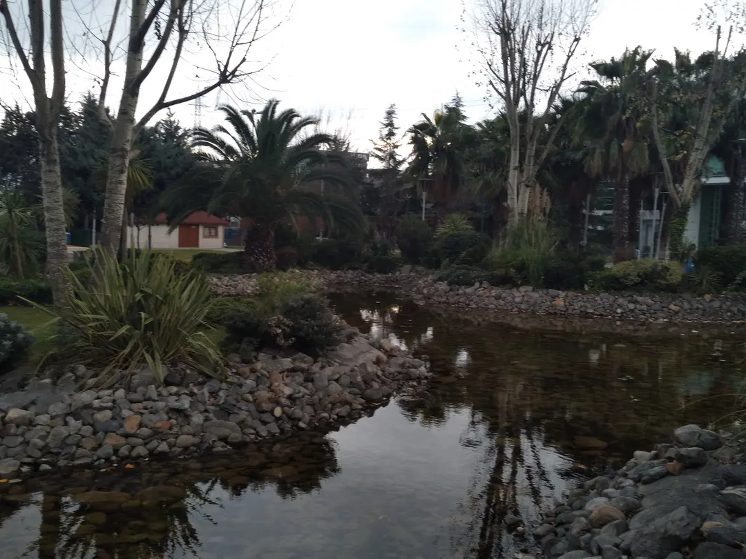 Bahçelievler Piknik Alanı — İstanbul — küçük resim 7