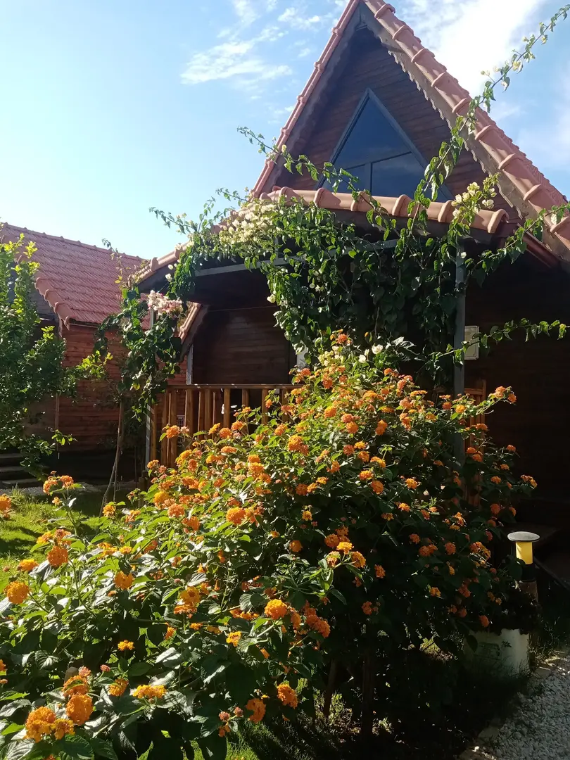 Riviera Bungalow Evleri Demre — Antalya — küçük resim 8