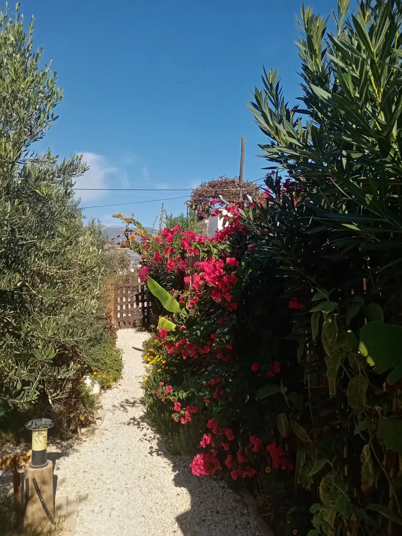 Riviera Bungalow Evleri Demre — Antalya — küçük resim 7