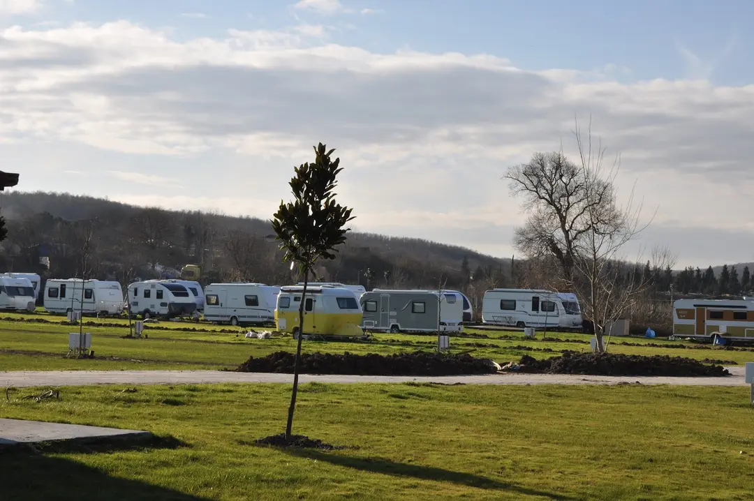 Fava Camp