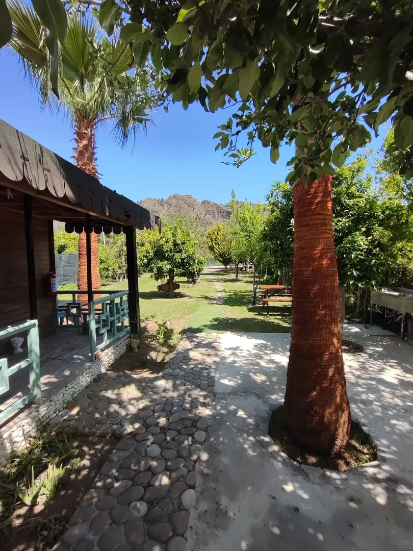 Flora Pansiyon Çıralı — Antalya — küçük resim 5