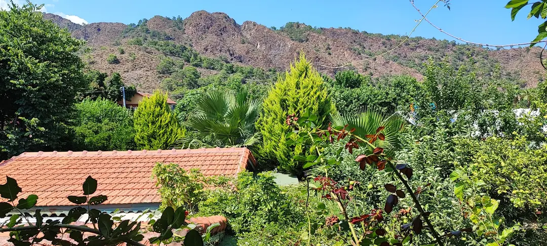 Flora Pansiyon Çıralı — Antalya — küçük resim 9