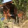 Ağva Seferoğulları Kamping