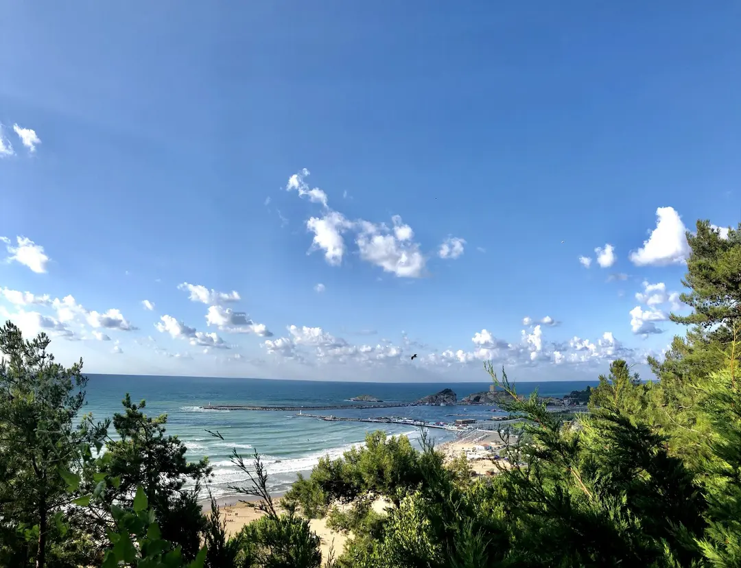 Serintepe Piknik Alanı&Restorant ve kamp alanı — İstanbul — küçük resim 5