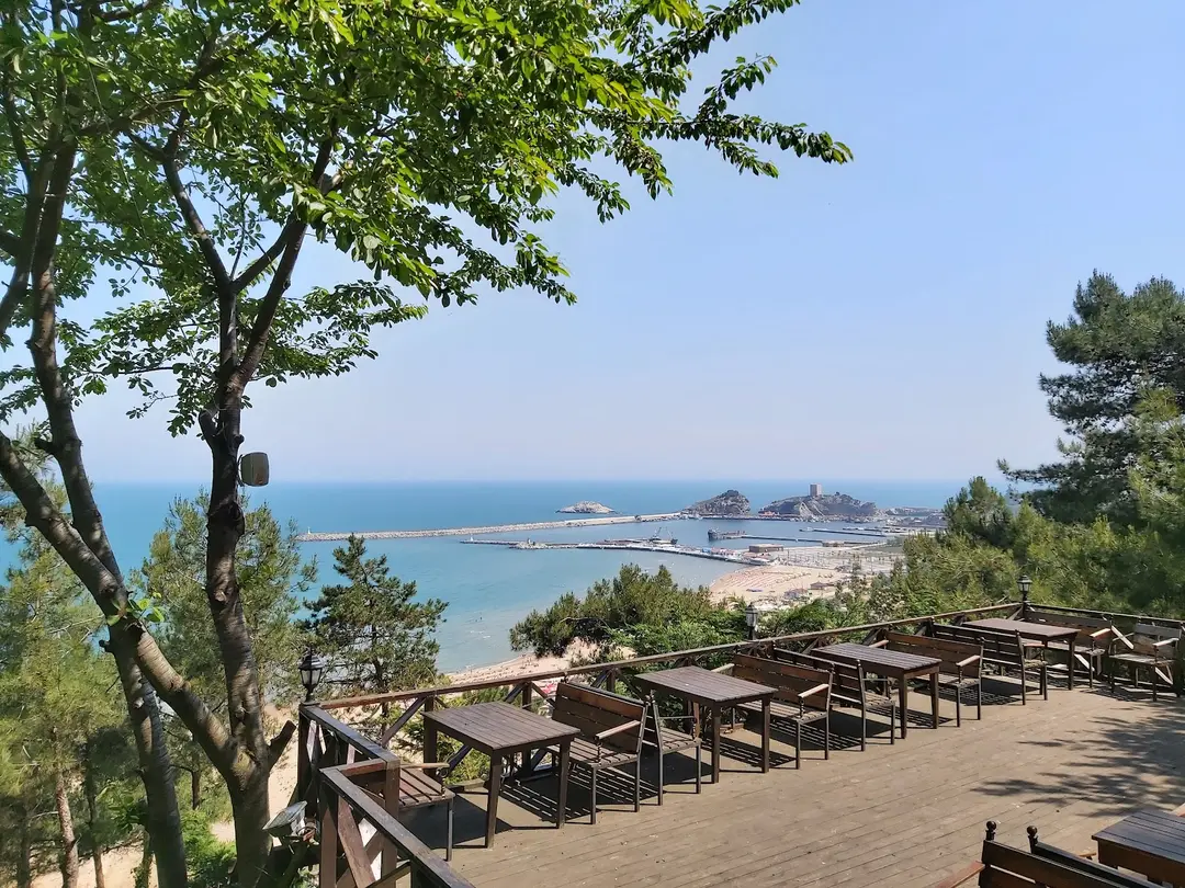 Serintepe Piknik Alanı&Restorant ve kamp alanı — İstanbul — küçük resim 6