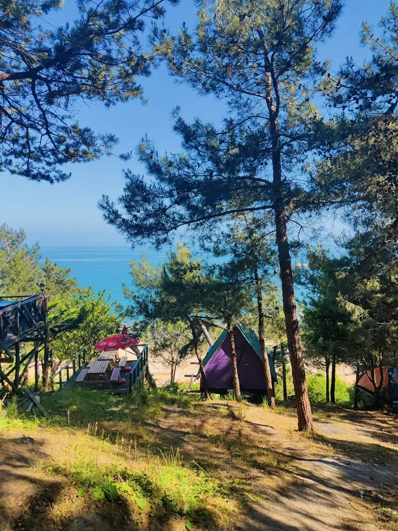 Serintepe Piknik Alanı&Restorant ve kamp alanı — İstanbul — küçük resim 2