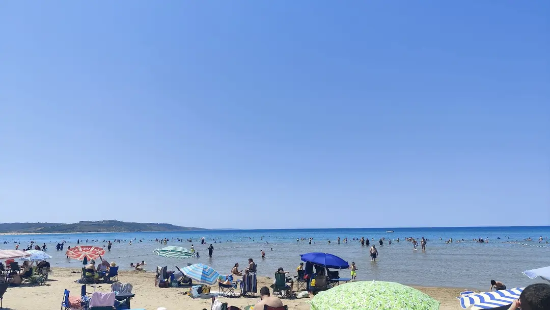 Serintepe Piknik Alanı&Restorant ve kamp alanı — İstanbul — küçük resim 10