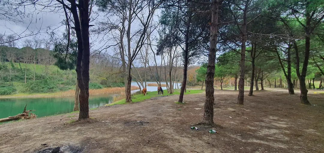 Yolaçık — İstanbul — küçük resim 6