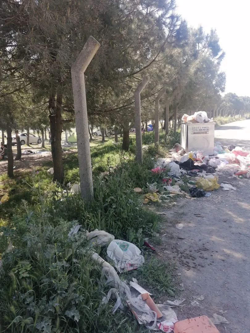 Ücretsiz Kamp karavan alanı — İstanbul — küçük resim 8