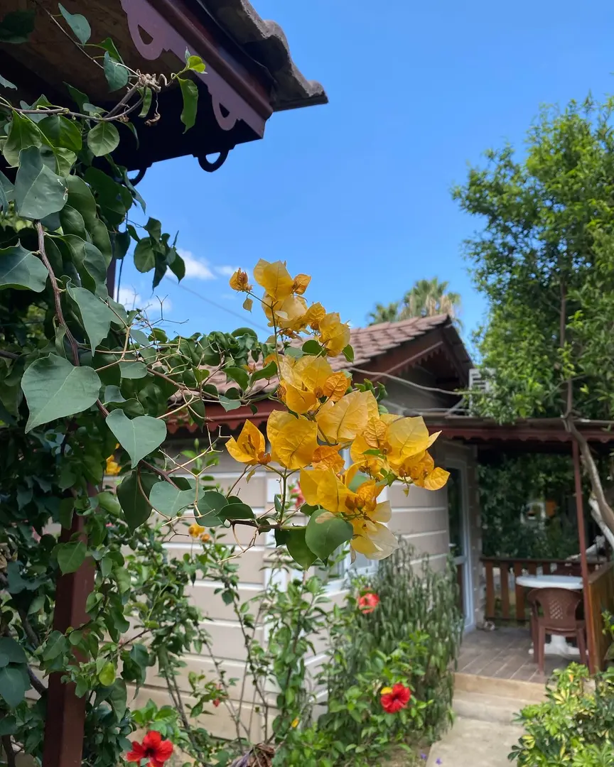 Serenity Bungalov Çamyuva — Antalya — küçük resim 9