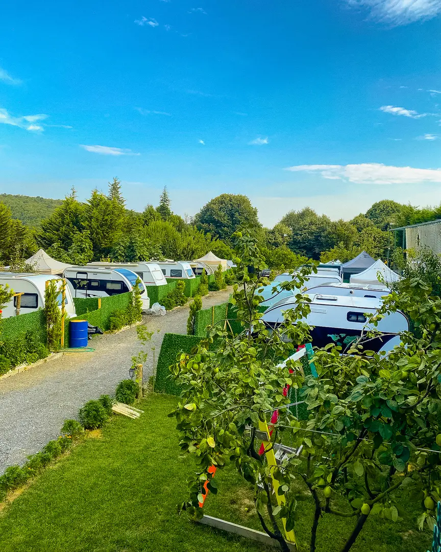 Line Art Camping — İstanbul — küçük resim 2