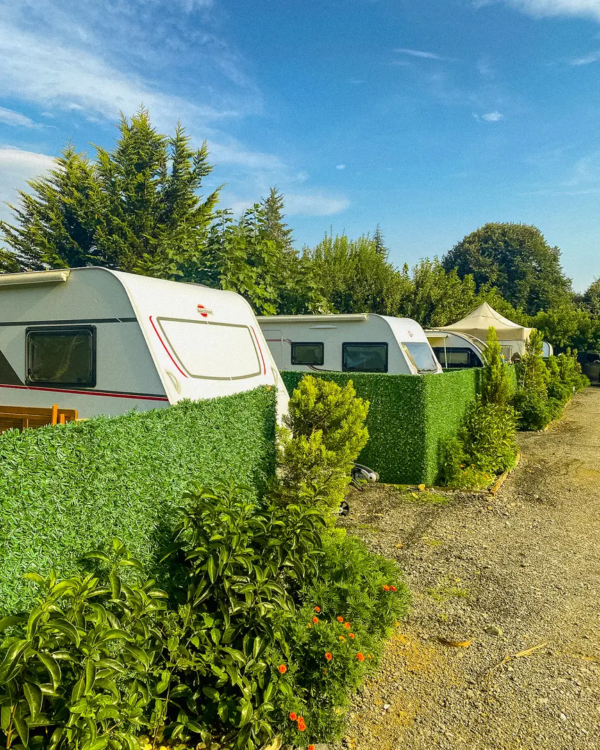Line Art Camping — İstanbul — küçük resim 8