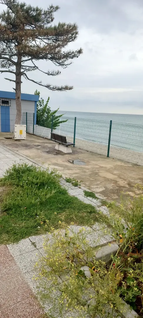 Günübirlik Tesisleri — İstanbul — küçük resim 3