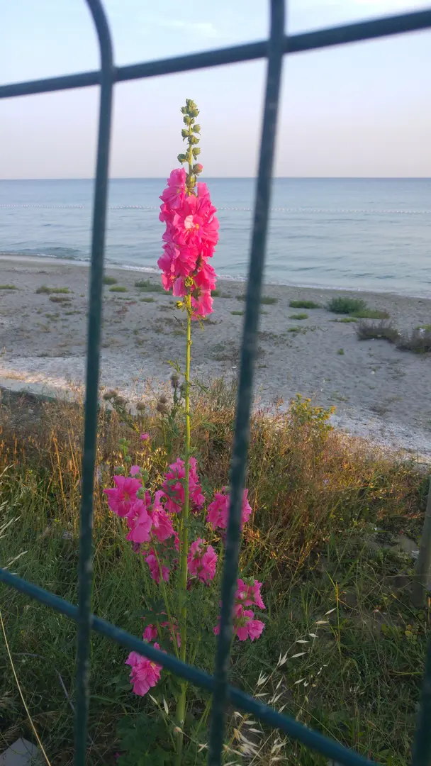 Günübirlik Tesisleri — İstanbul — küçük resim 7