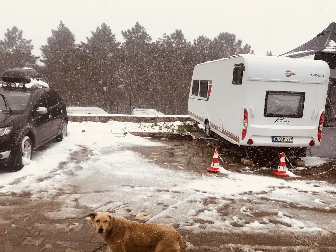 Kamp Doctor Parkı — İstanbul — küçük resim 7