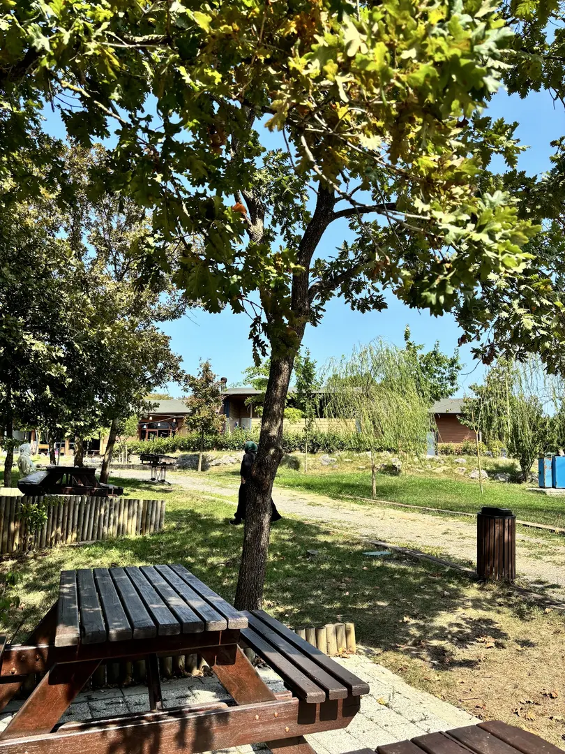 KURNAKOY GENCLIK KAMPI — İstanbul — küçük resim 5