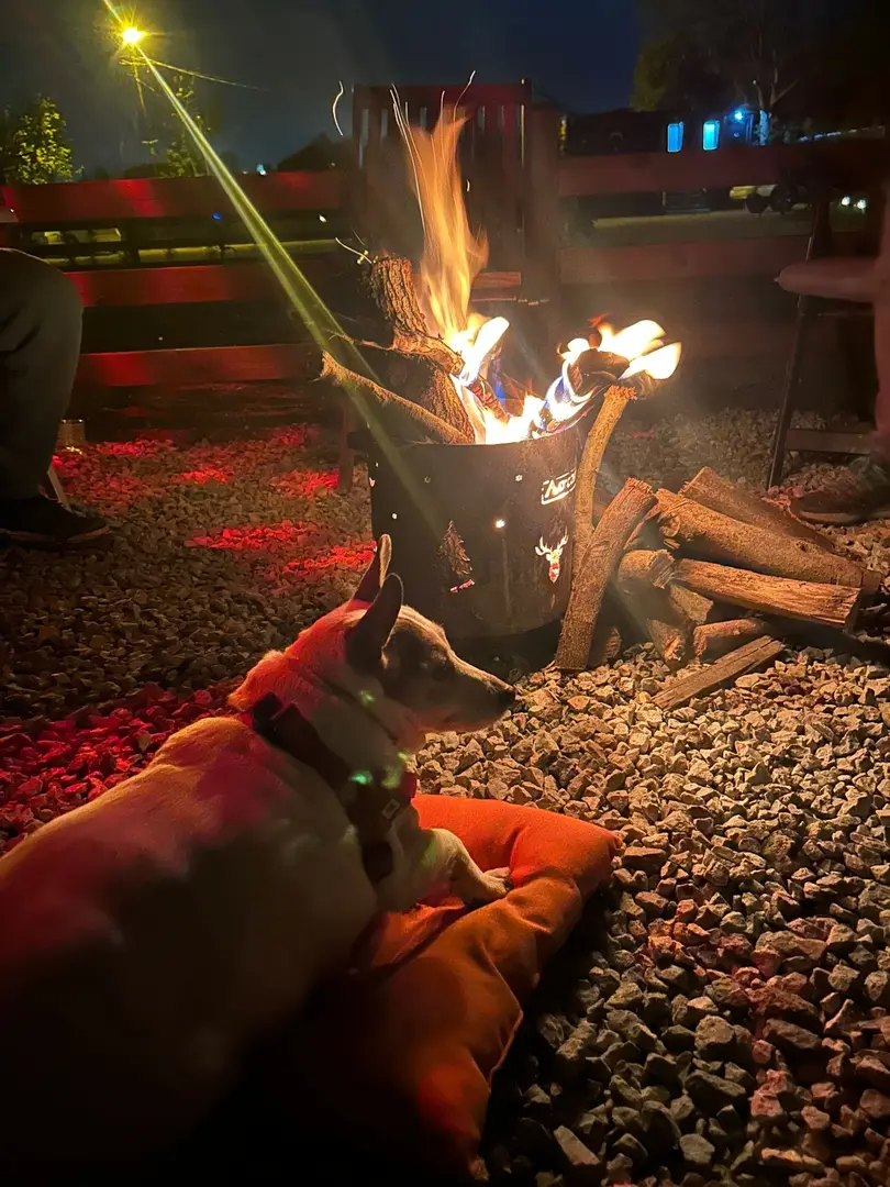 Karavanika Caravan Camp — İstanbul — küçük resim 5