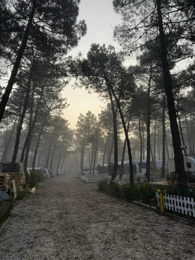 Otto Karavan Köyü — İstanbul — küçük resim 10
