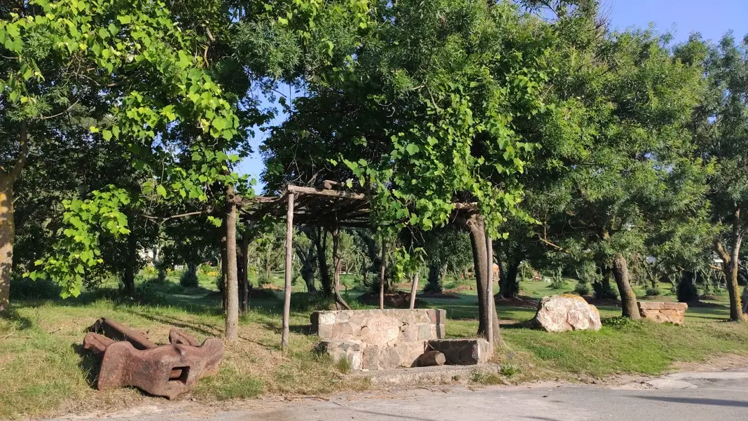 Demirciköy Wohnmobilpark — İstanbul — küçük resim 4