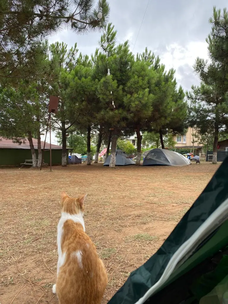 Bella Kamp — İstanbul — küçük resim 6