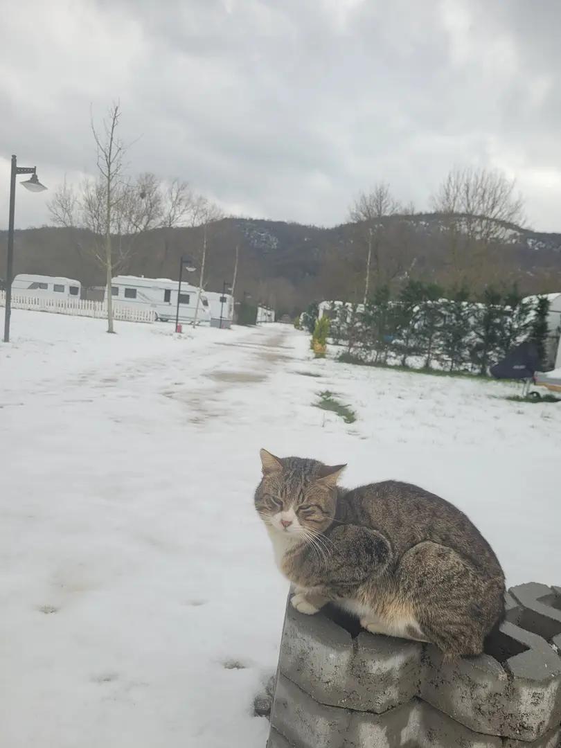 Pera Camping — İstanbul — küçük resim 7