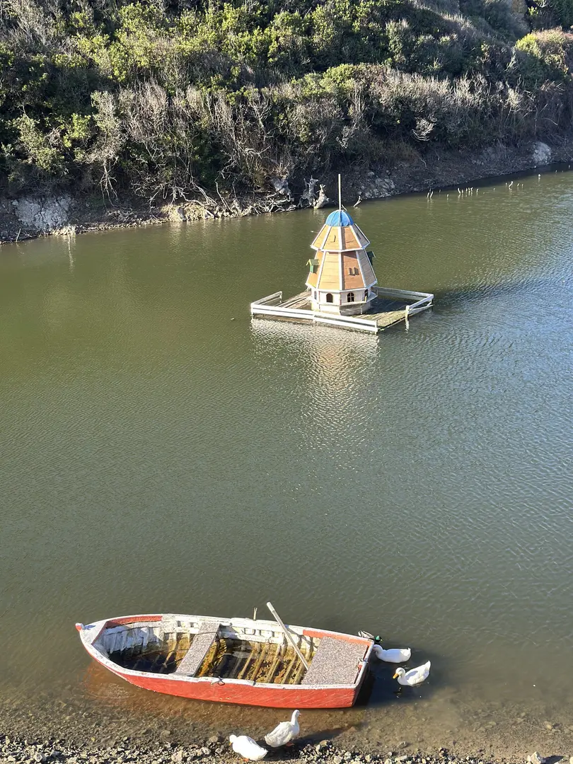 vadi beach kamp — İstanbul — küçük resim 7