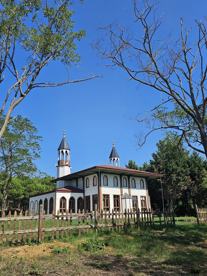 Beykoz Spor Ormanı — İstanbul — küçük resim 3