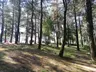 Şamlar Tabiat Parkı