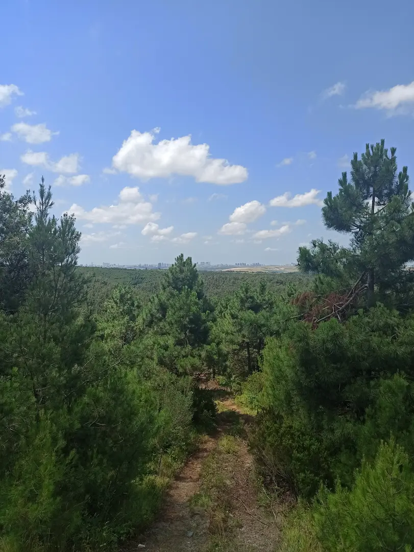 Şamlar Tabiat Parkı — İstanbul — küçük resim 6