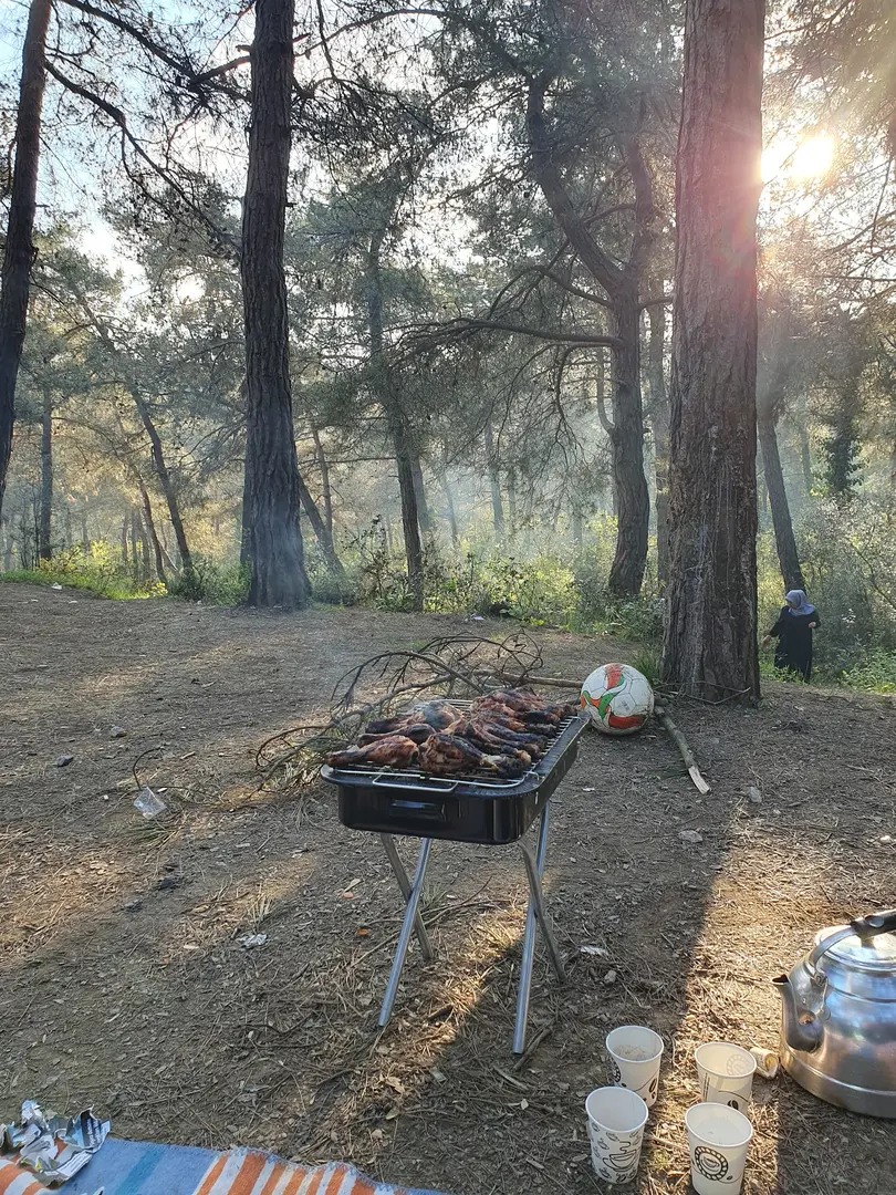 Şamlar Tabiat Parkı — İstanbul — küçük resim 7