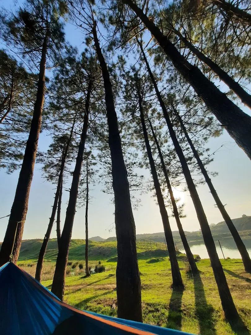 GREENTREKKİNG KAMP ALANI — İstanbul — fotoğraf 1