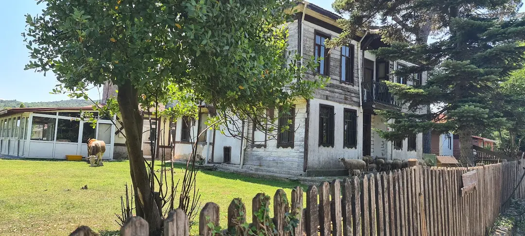 Polonezköy Tabiat Parkı — İstanbul — küçük resim 6
