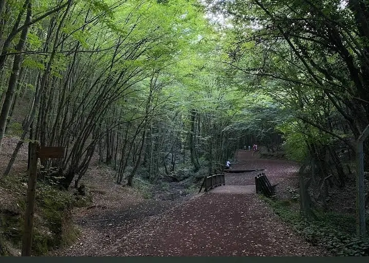 Polonezköy Tabiat Parkı — İstanbul — küçük resim 10