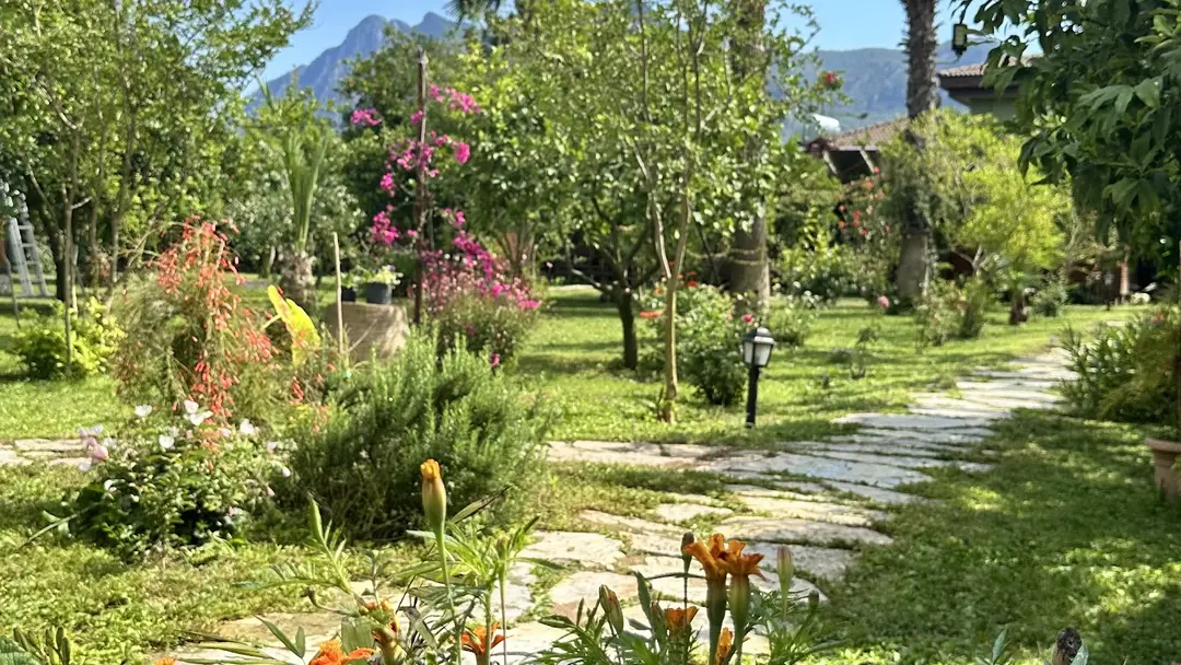Özge Hotel & Bungalows — Antalya — küçük resim 7