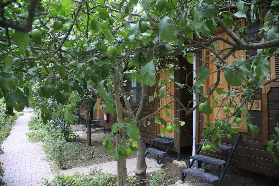 Varuna Pansiyon — Antalya — küçük resim 5