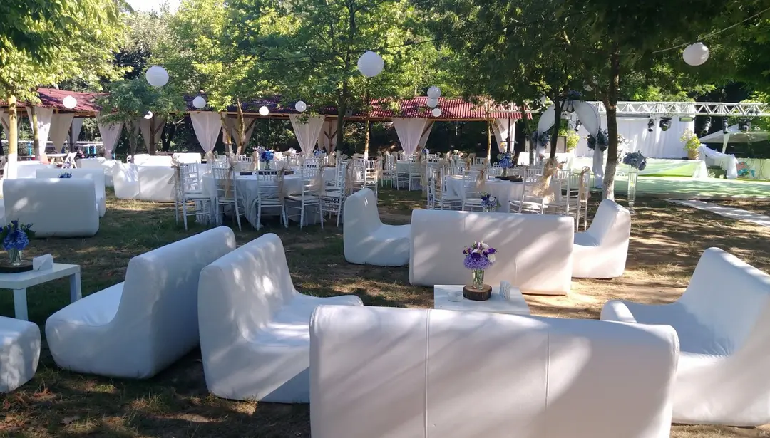 Live Asist Beach Canlı Orman
