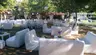 Live Asist Beach Canlı Orman