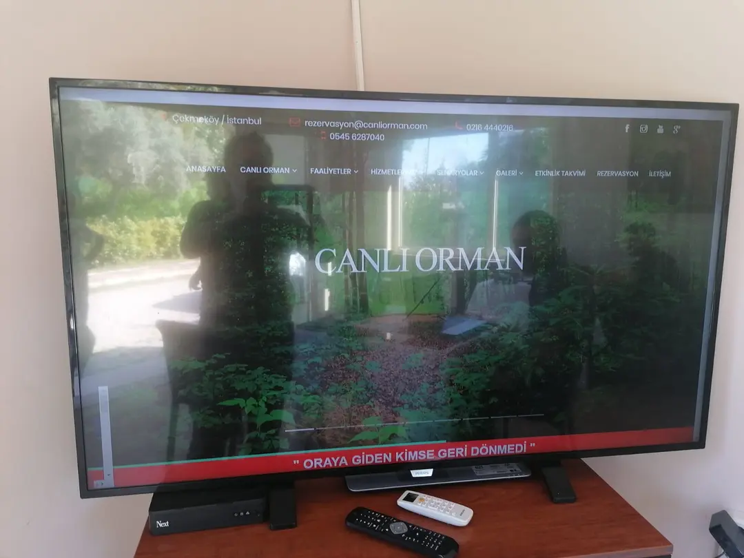 Live Asist Beach Canlı Orman — İstanbul — küçük resim 7