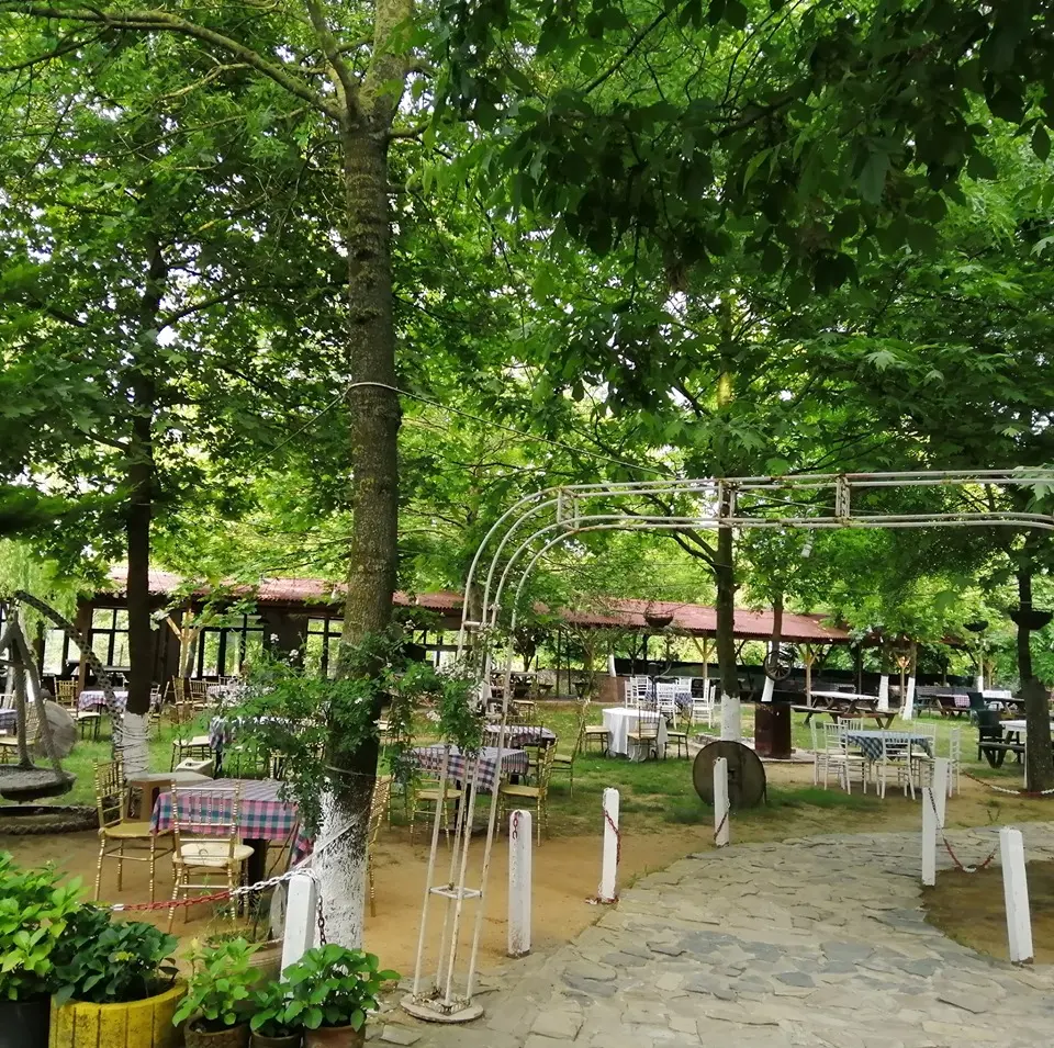 Live Asist Beach Canlı Orman — İstanbul — küçük resim 4