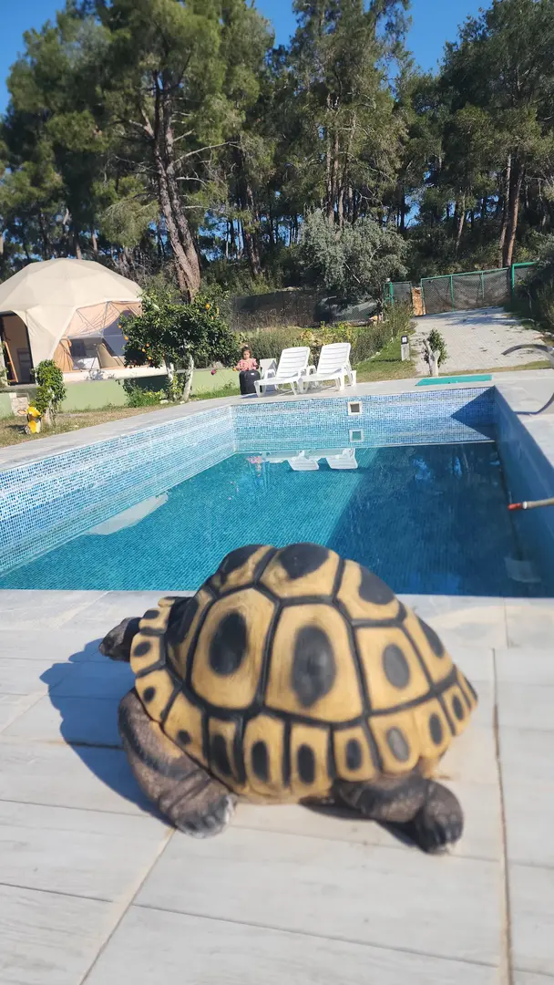 Yeşilçam Glamping — Antalya — küçük resim 3