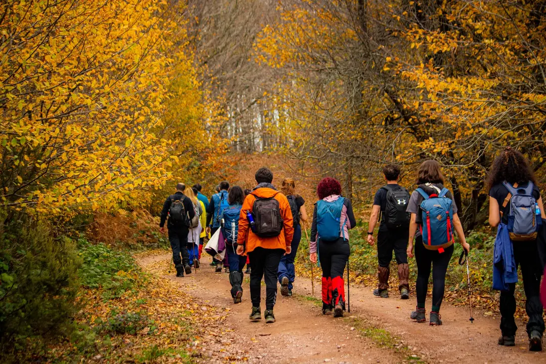 Kamptrek İstanbul, Doğa Sporları, Trekking, Kamp ve Gezi Grubu — İstanbul — küçük resim 8