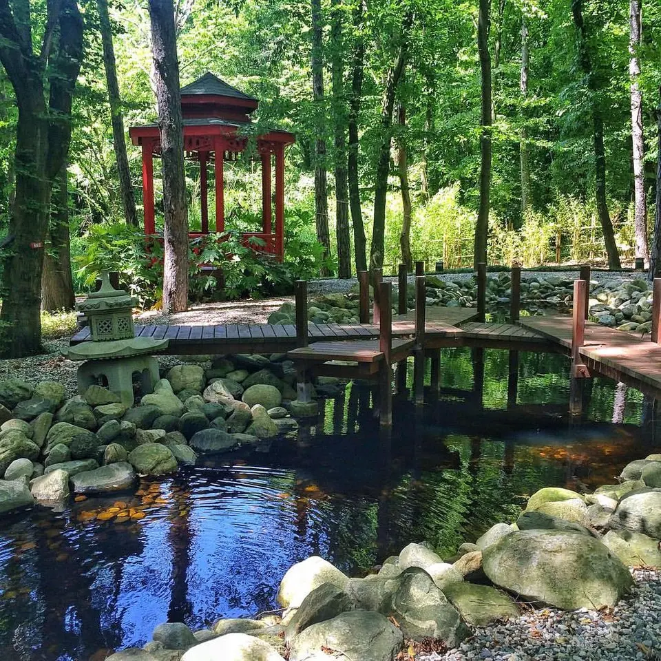 Parkorman Tabiat Parkı — İstanbul — küçük resim 3