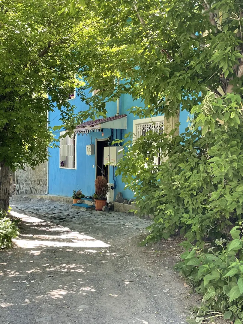 MAVI LADIN KONUKEVI — Kars — küçük resim 3