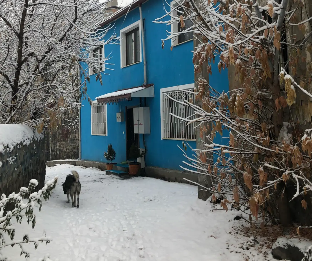 MAVI LADIN KONUKEVI — Kars — küçük resim 7