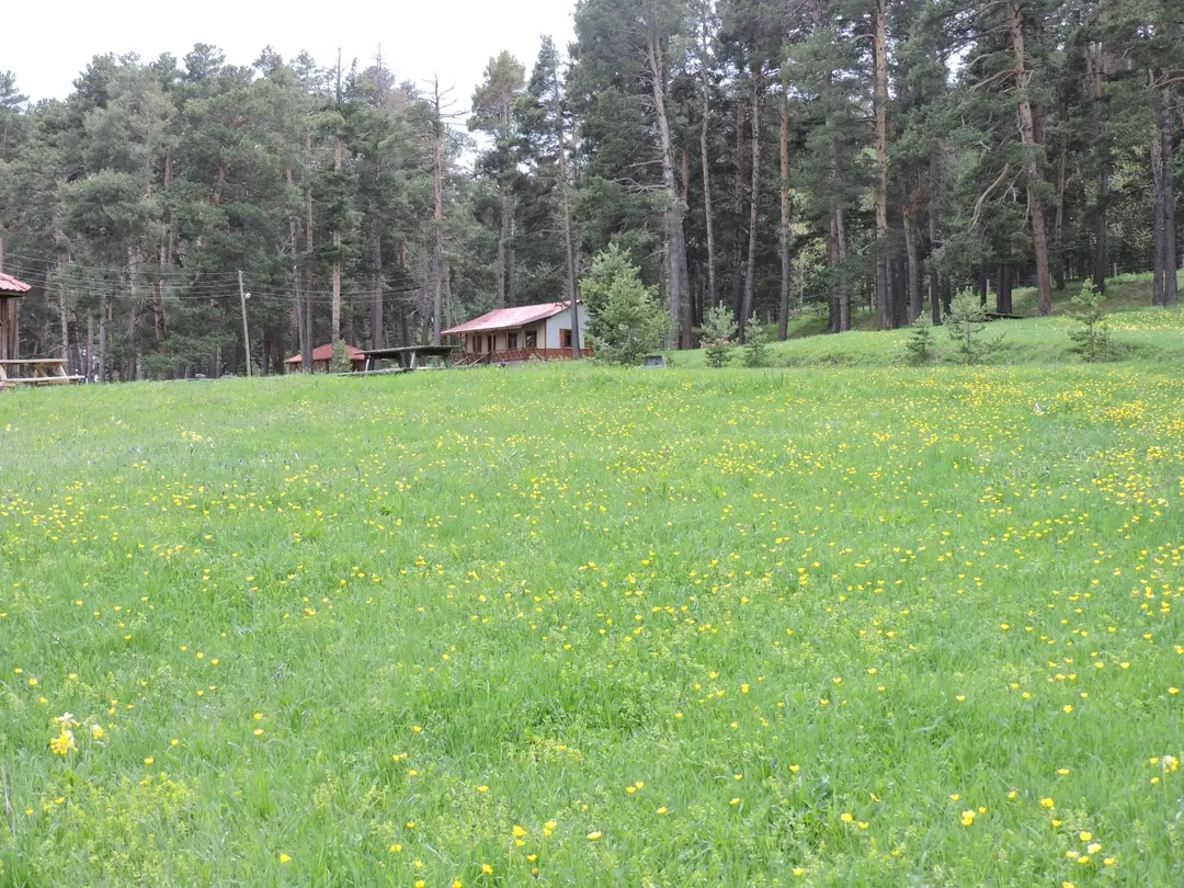 Sarıkamış Soğuksu Recreation Area — Kars — küçük resim 2