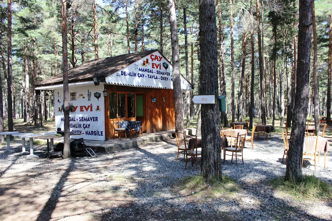 Şehit Şerife Bacı Nature Park — Kastamonu — küçük resim 3