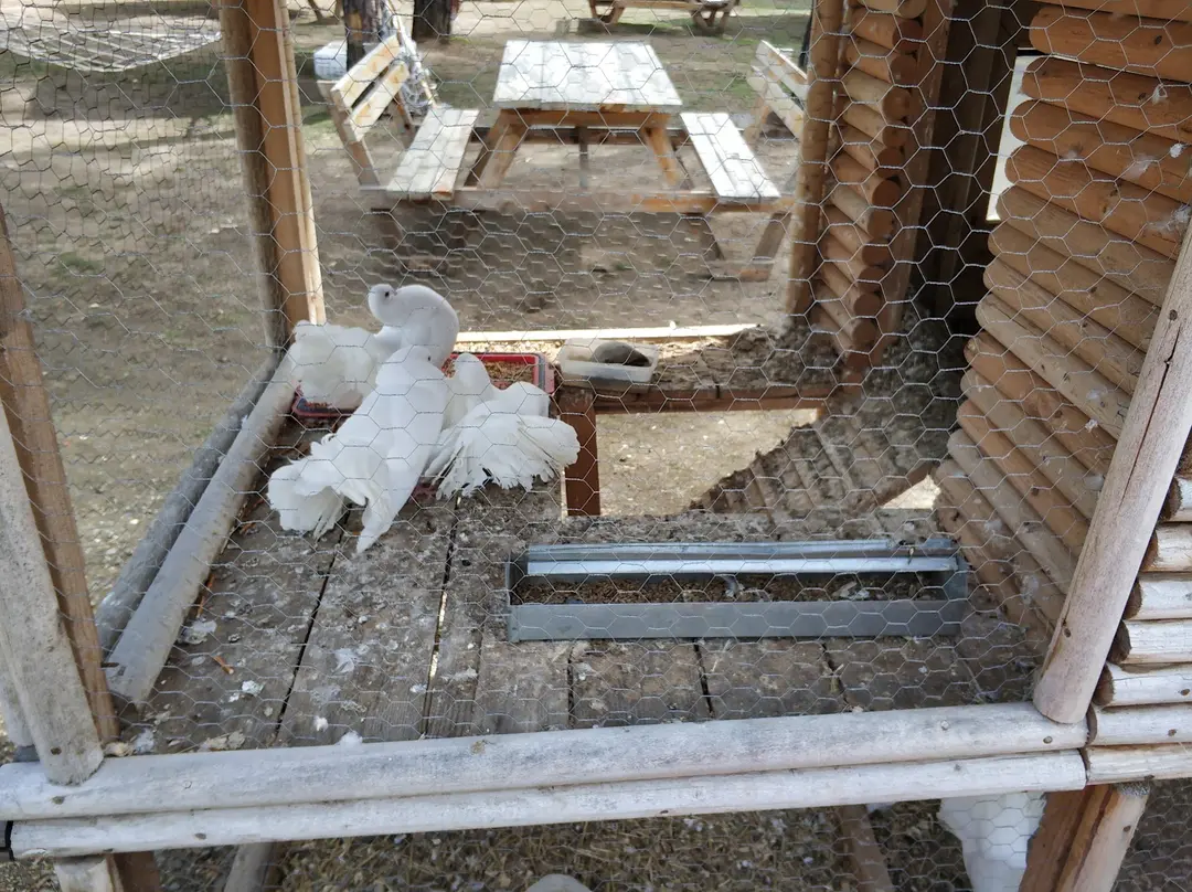 Kastamonu Kadıdağı Yeşil Kampı — Kastamonu — küçük resim 4